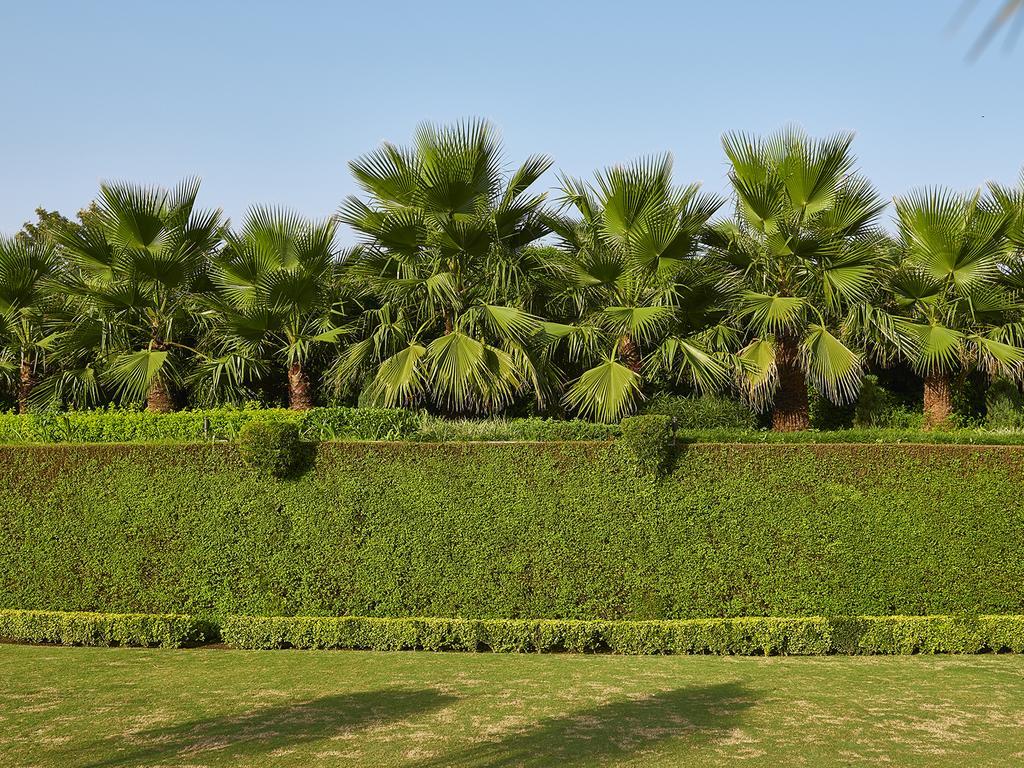 Club Mahindra Kandāghāt Buitenkant foto